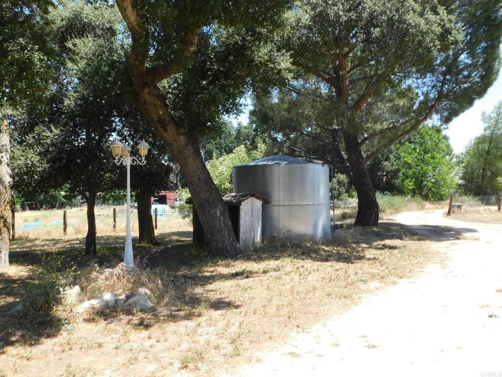 1124 Far Valley Road Campo, CA 91906 - Photo 21 of 21 a view of a yard with a tree