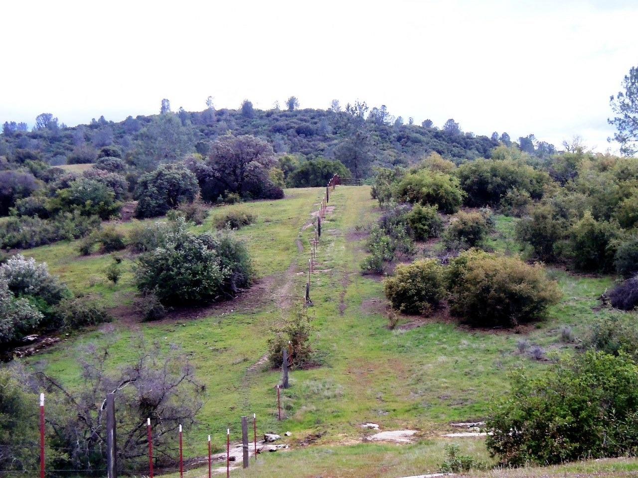 0 Flying O Ranch Road Coarsegold, CA 93614 - Photo 2 of 23 Gallery Image 2