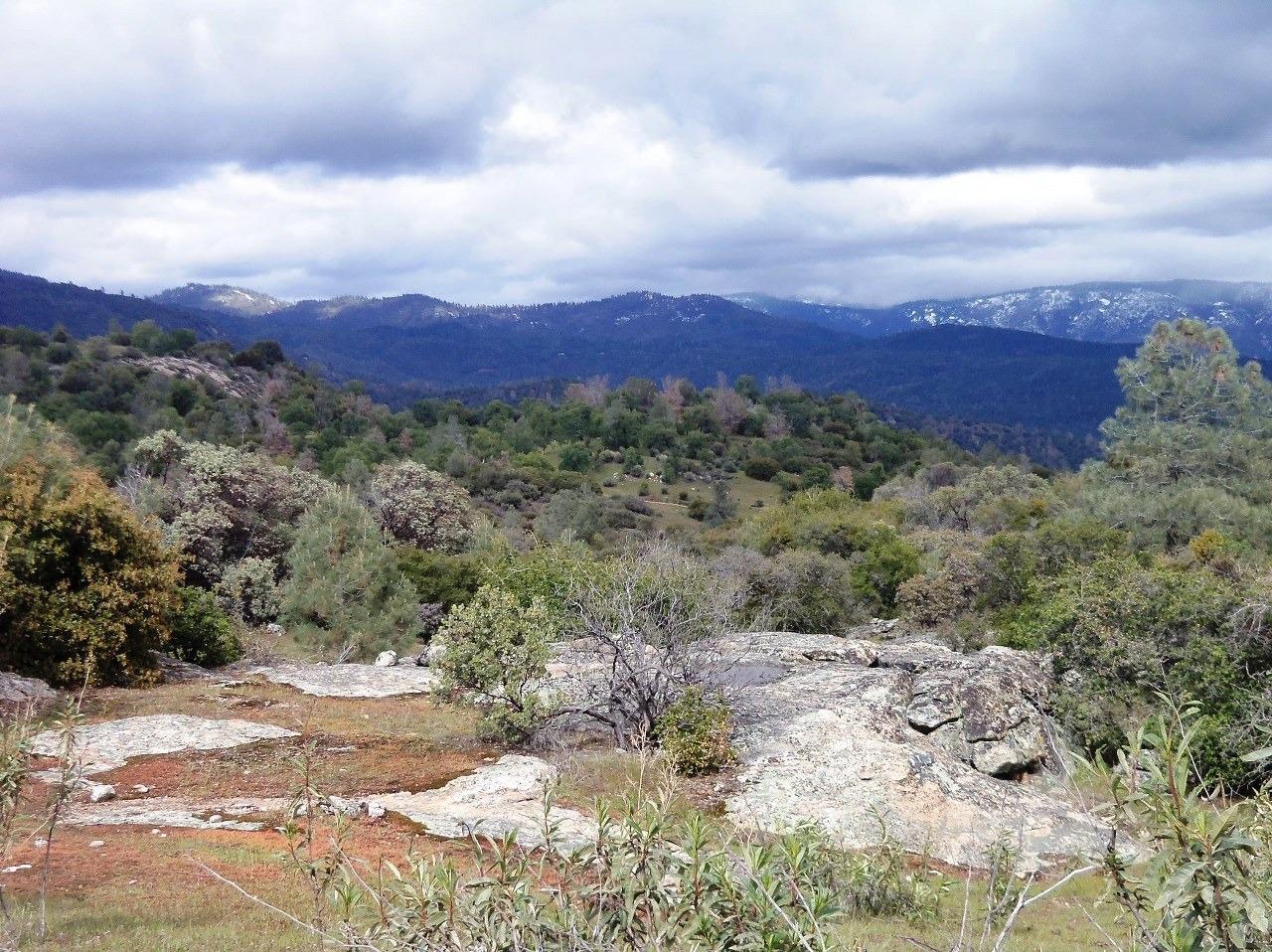 0 Flying O Ranch Road Coarsegold, CA 93614 - Photo 3 of 23 Gallery Image 3