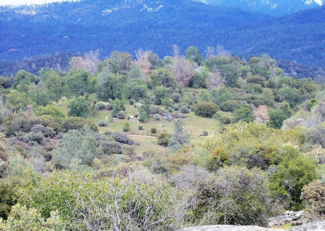 0 Flying O Ranch Road Coarsegold, CA 93614 - Photo 4 of 23 Gallery Image 4