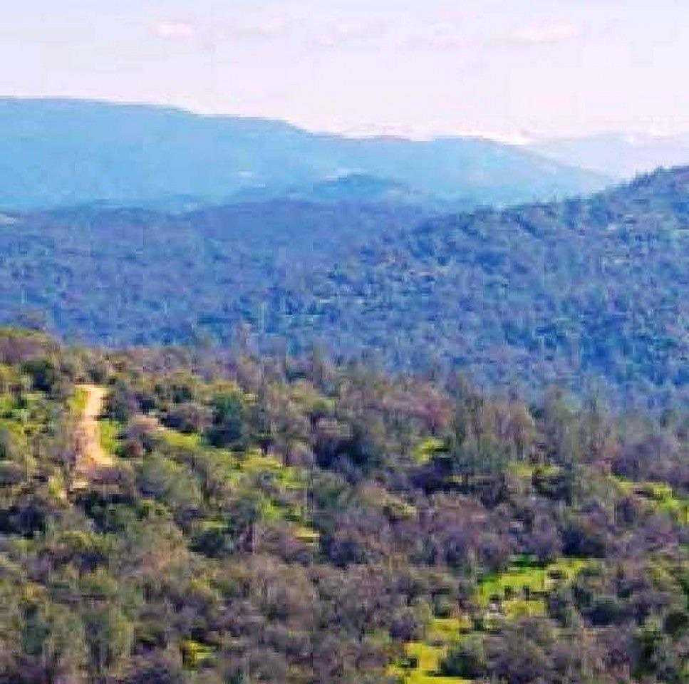 0 Flying O Ranch Road Coarsegold, CA 93614 - Photo 6 of 23 Gallery Image 6