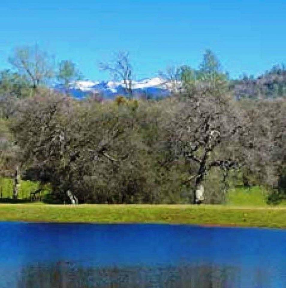 0 Flying O Ranch Road Coarsegold, CA 93614 - Photo 8 of 23 This picture is not located within the 44.41 acres for sale but is available for use by all owners that live in the Flying-O Ranch subdivision