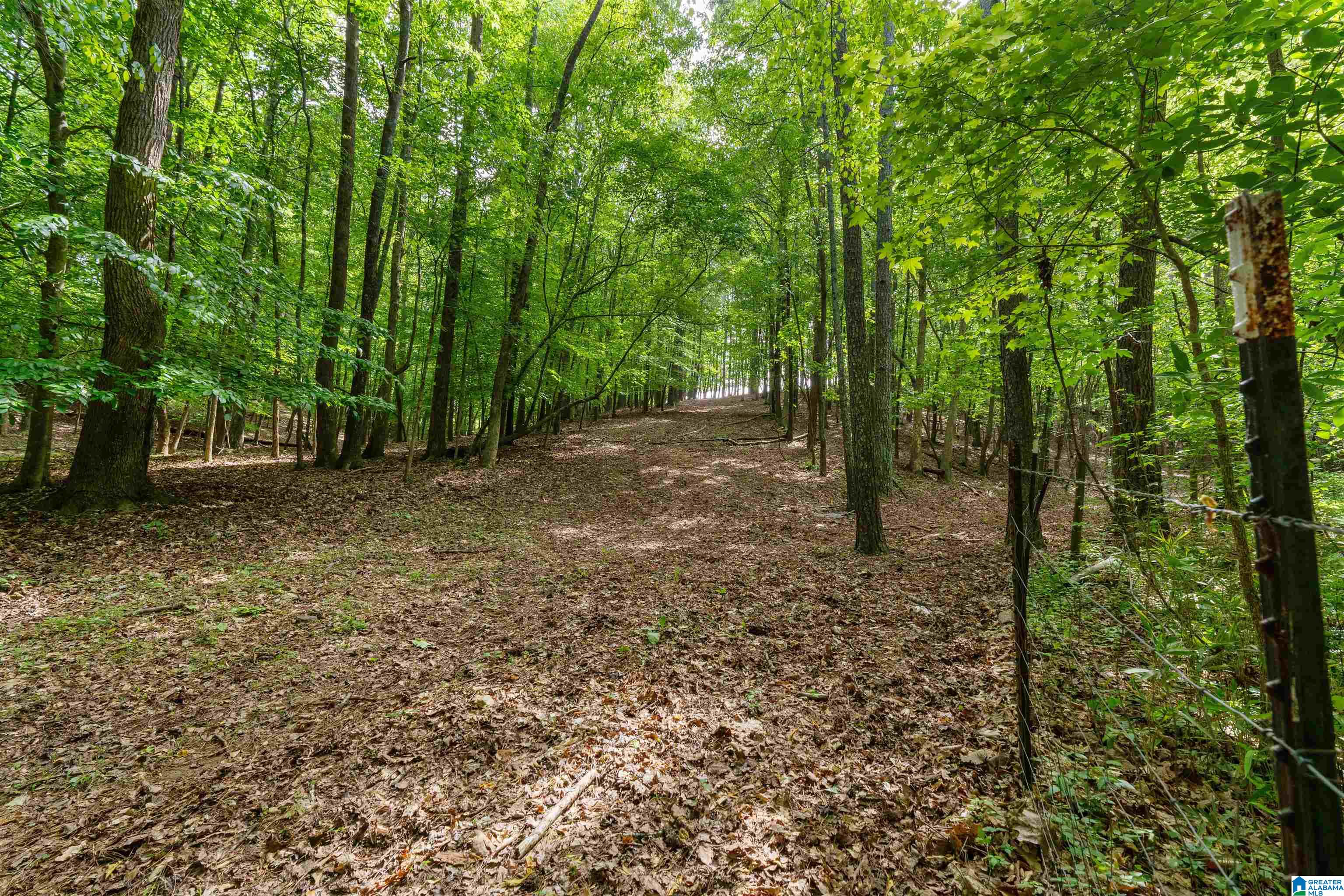 1435 County Road 633 Ranburne, AL 36273 - Photo 13 of 96