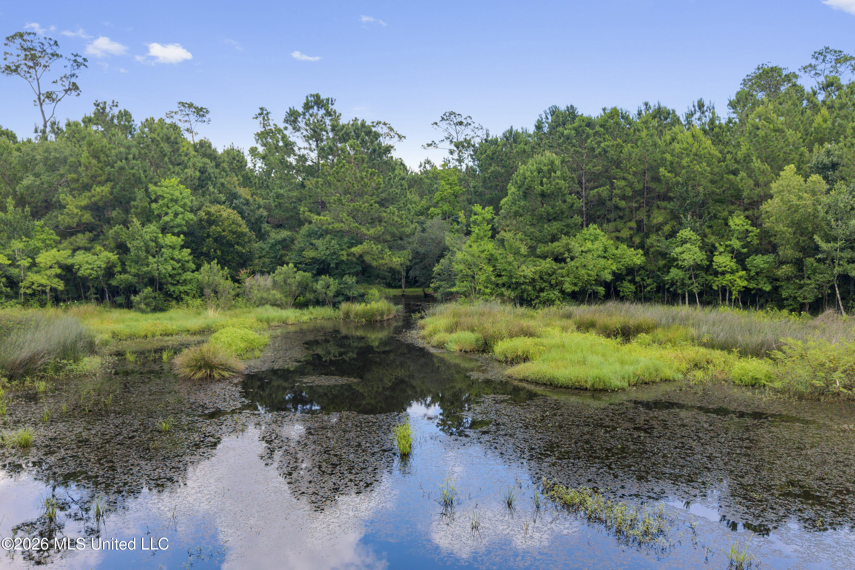 1441 Blue Meadow Road Bay St. Louis, MS 39520 - Photo 7 of 29 00005