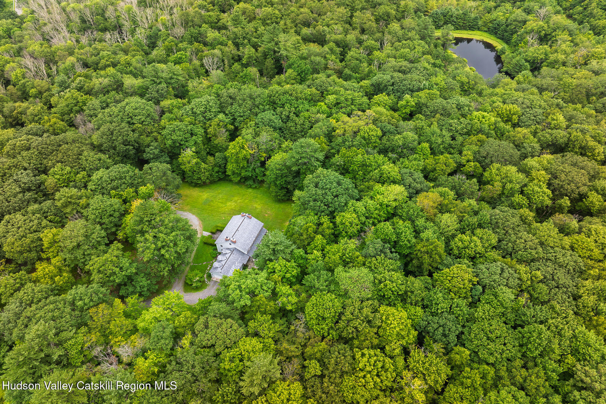 7 Partridge Drive Austerlitz, NY 12017 - Photo 40 of 46 a view of a forest with a tree