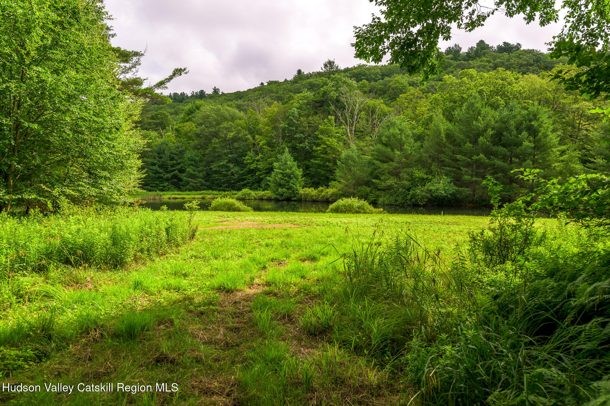 7 Partridge Drive Austerlitz, NY 12017 - Photo 43 of 46 a view of a grassy area