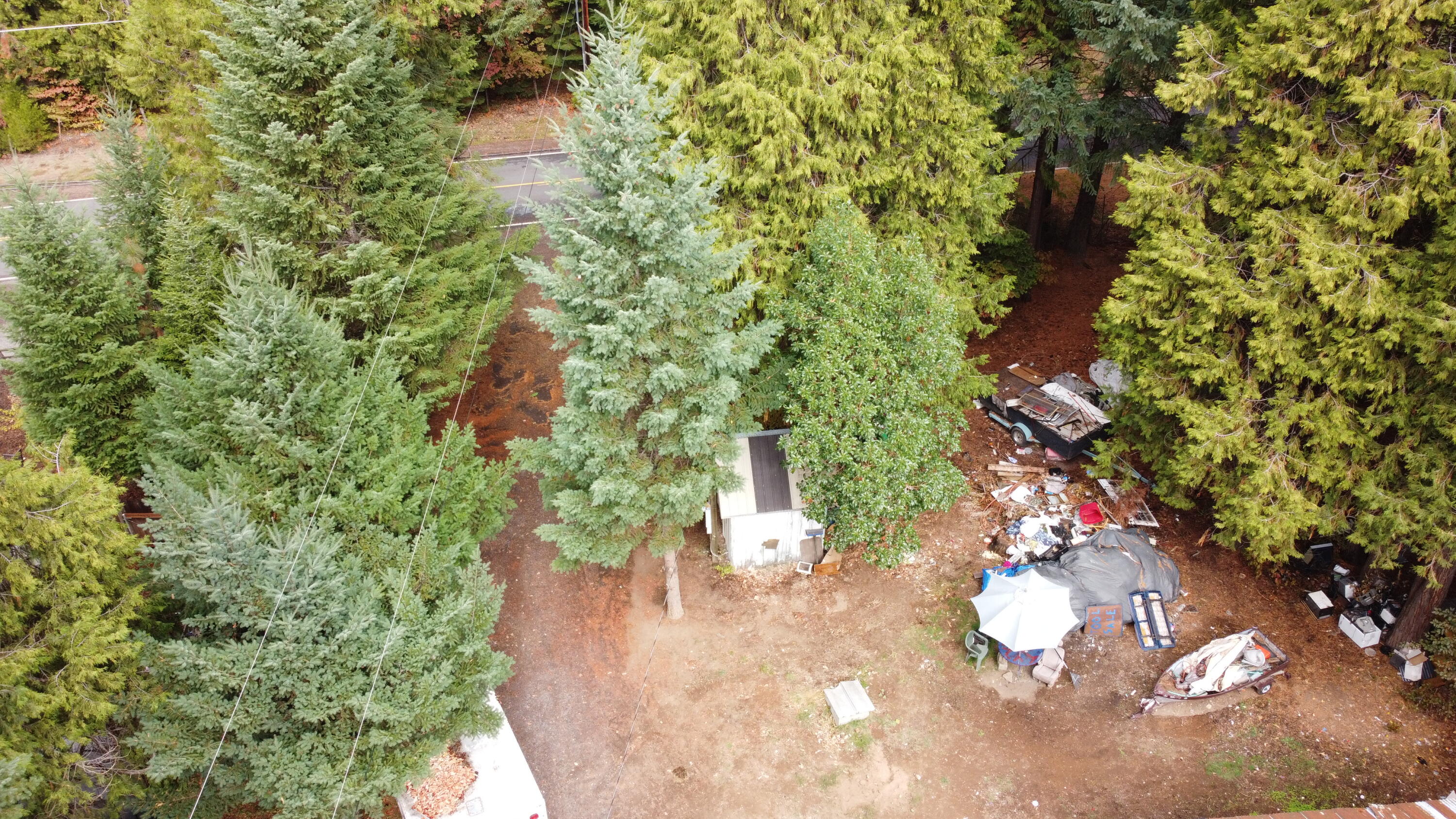 352 Red Blanket Road Prospect, OR 97536 - Photo 4 of 21 Driveway/ entry
