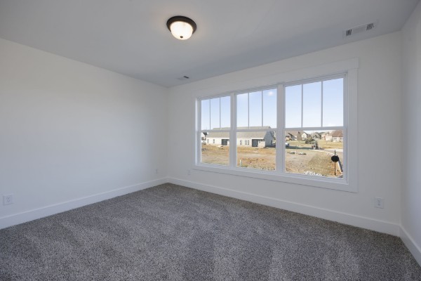 2175 Rylee Way Greenbrier, TN 37073 - Photo 17 of 19