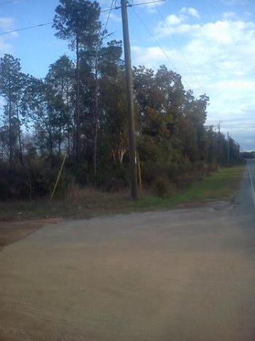 Tee Vee Road Elloree, SC 29047 - Photo 1 of 1 Main View