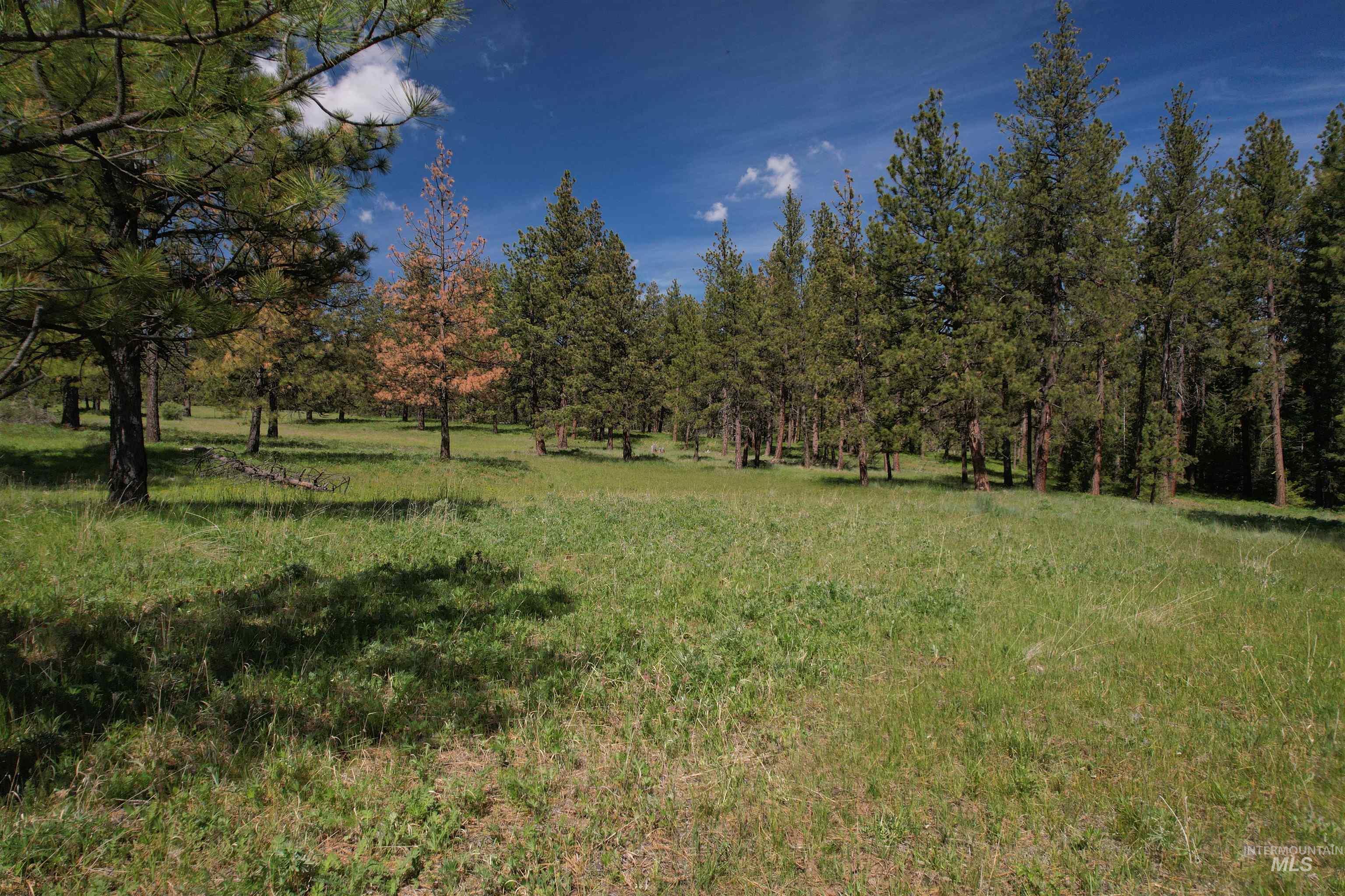 Nka Cloverland Road Asotin, WA 99402 - Photo 4 of 6