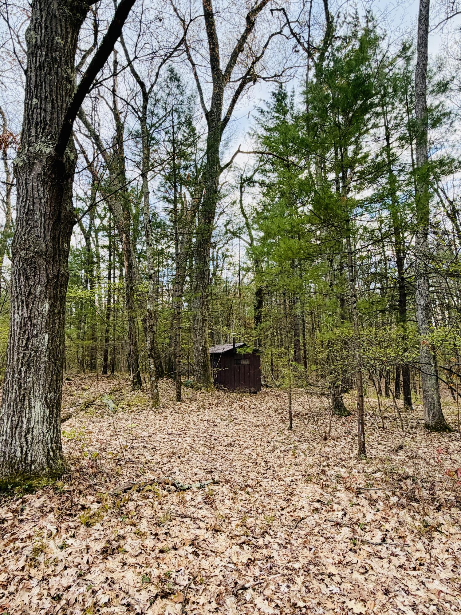 1661 North Centerline Road White Cloud, MI 49349 - Photo 27 of 45 IMG_0351
