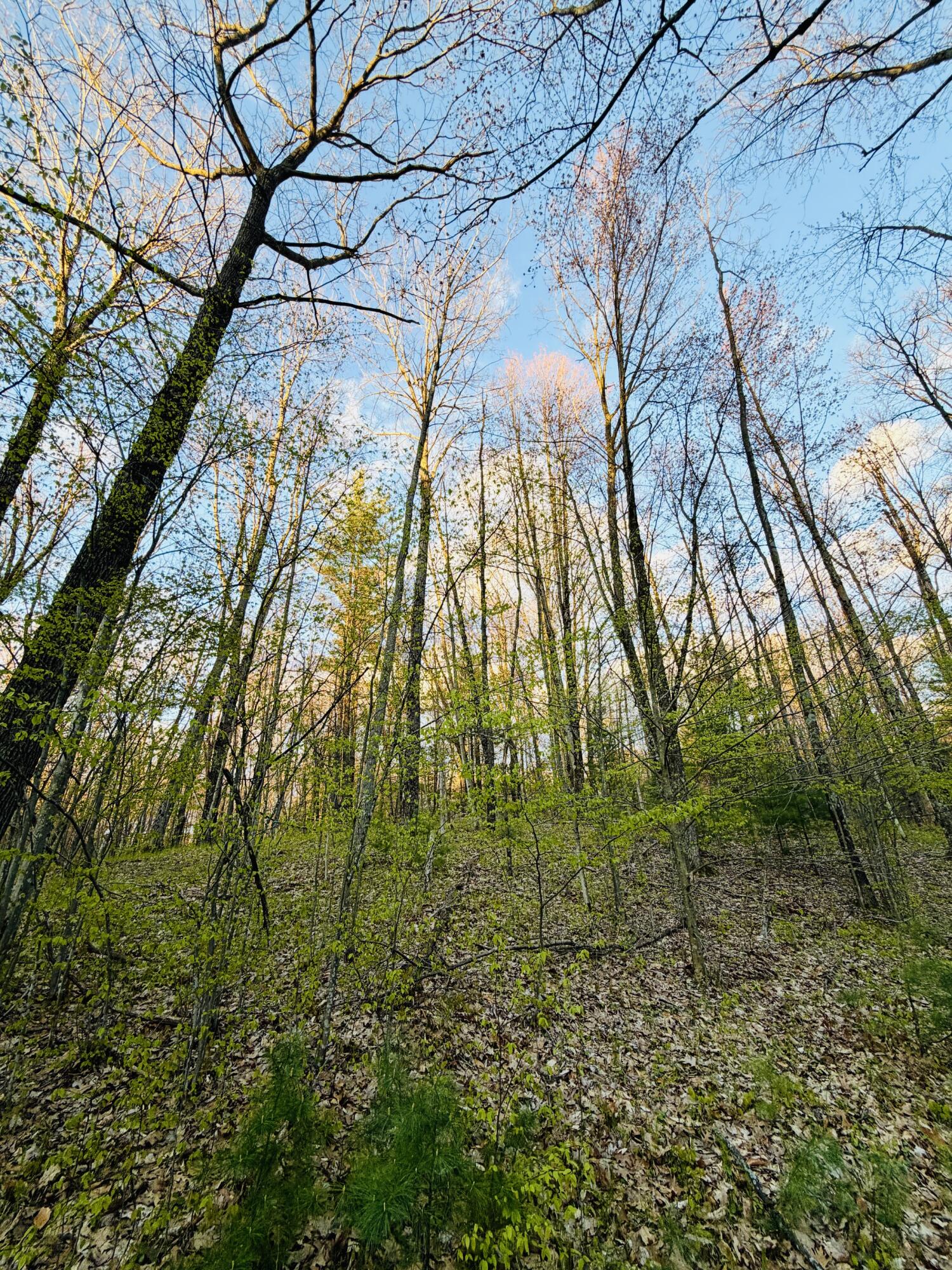 1661 North Centerline Road White Cloud, MI 49349 - Photo 34 of 45 IMG_0412