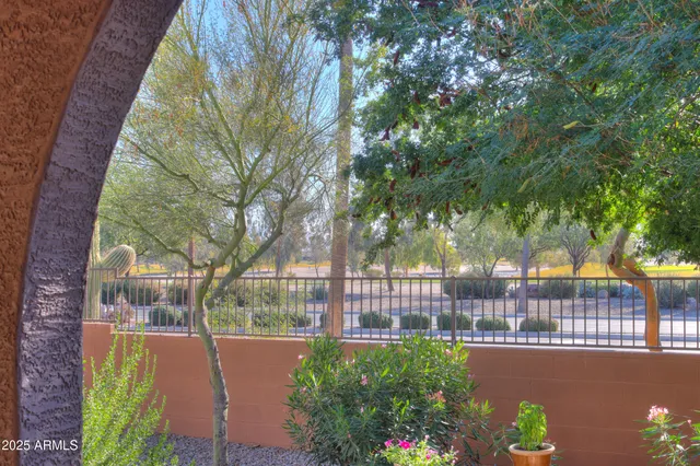 a view of a yard with trees