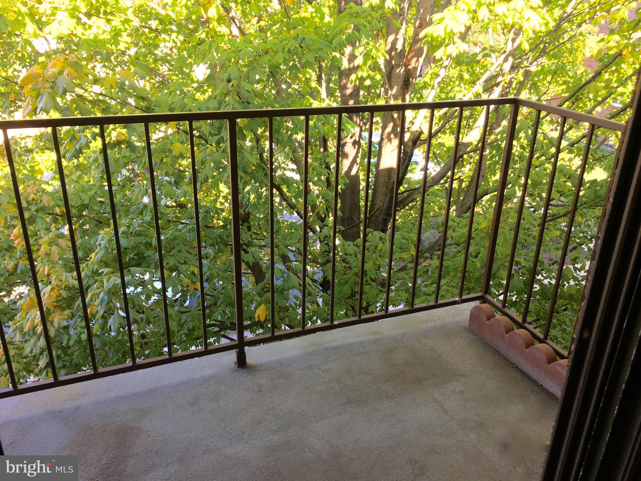 6260 Edsall Road, Unit 401 Alexandria, VA 22312 - Photo 19 of 30 a view of outdoor space and garden