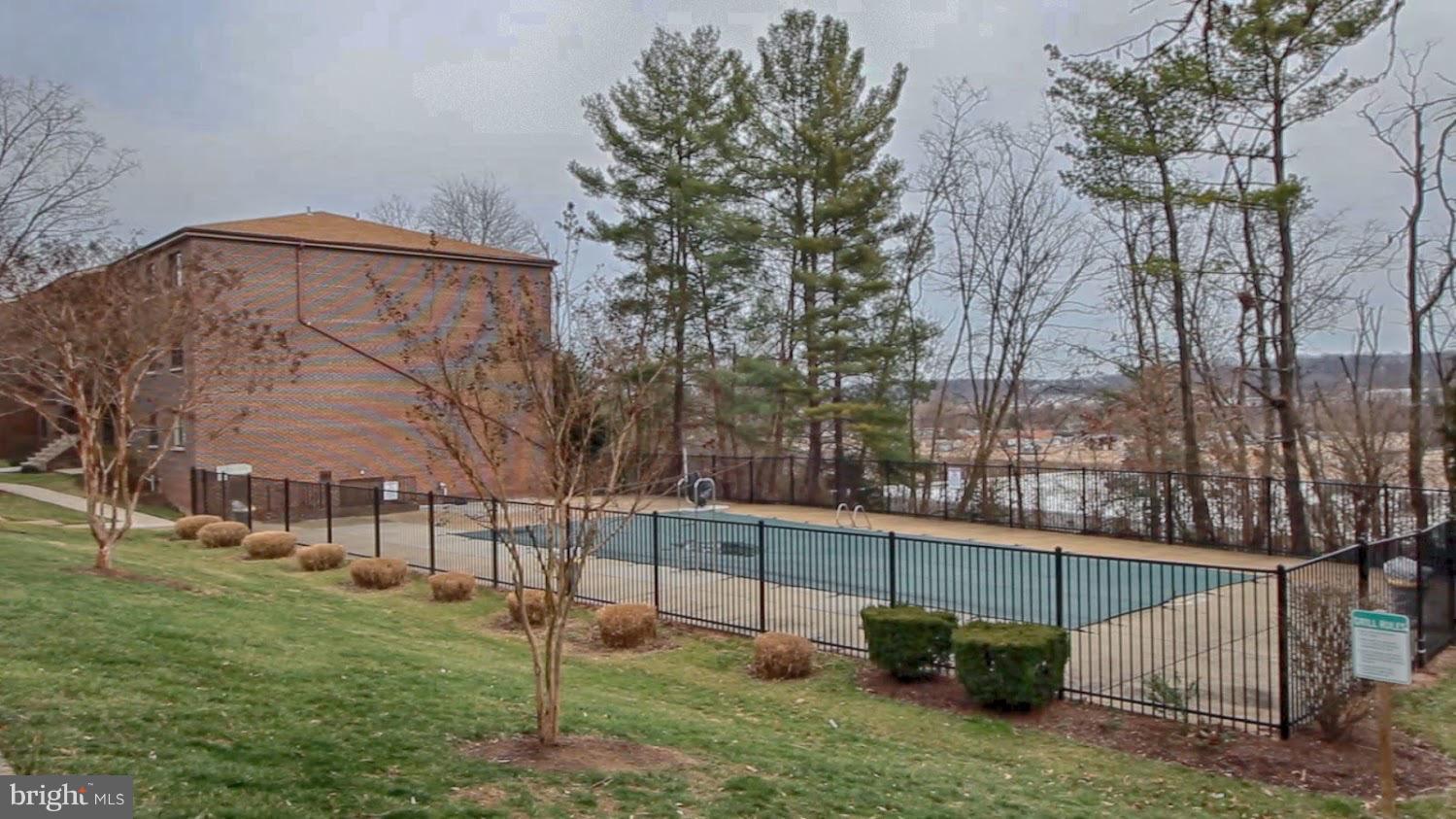 6260 Edsall Road, Unit 401 Alexandria, VA 22312 - Photo 20 of 30 a view of backyard with tree