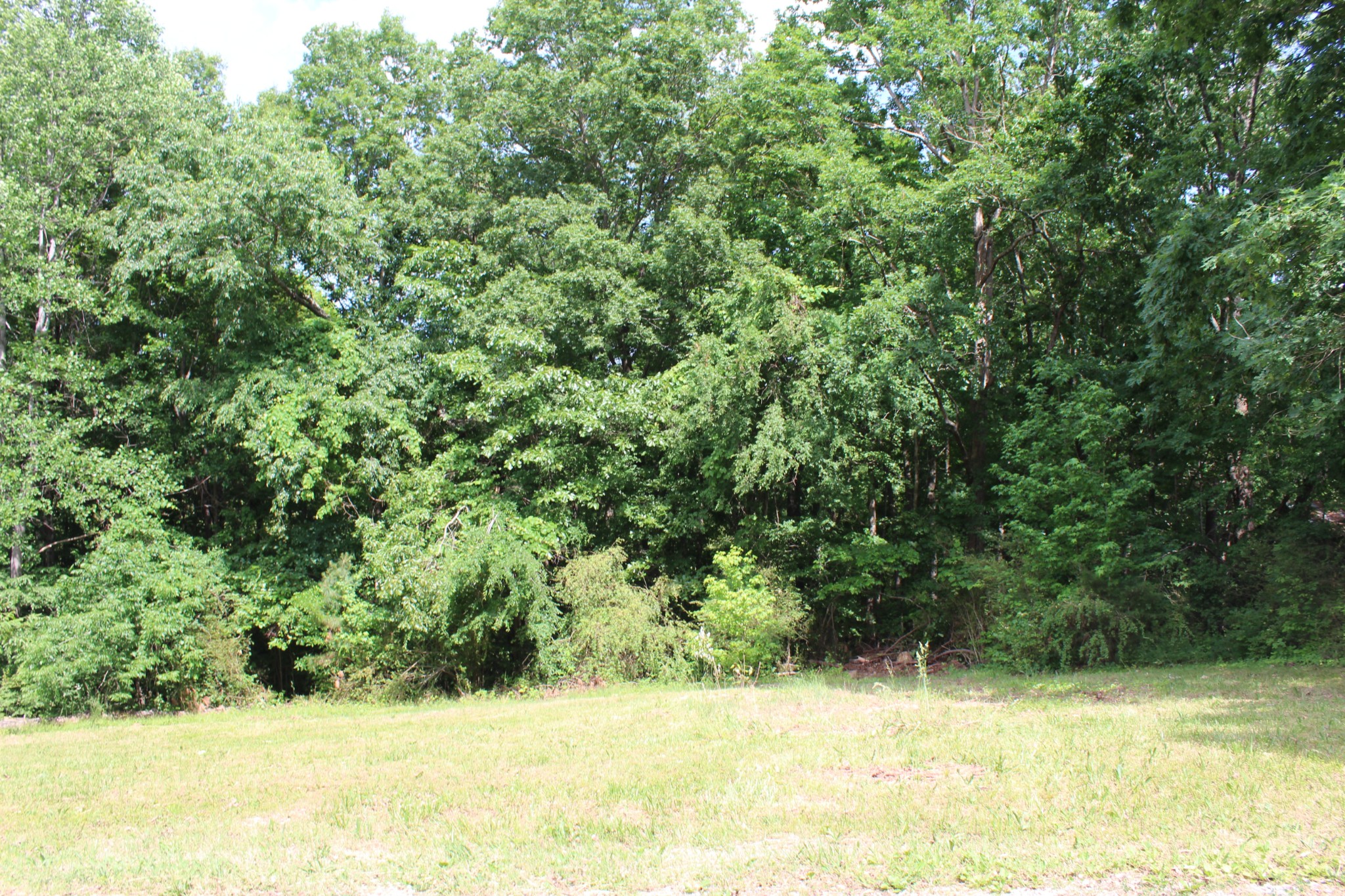 110 Towering Oaks Road Tennessee Ridge, TN 37178 - Photo 31 of 48