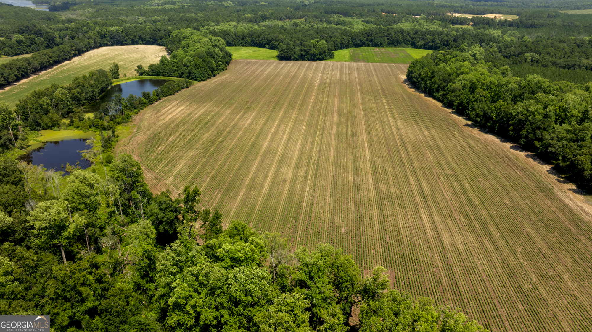 0 Sunbury Road Claxton, GA 30417 - Photo 34 of 36 Gallery Image 34