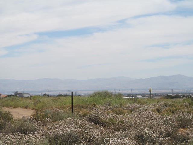 28 Fremontia Road Oak Hills, CA 92344 - Photo 7 of 13