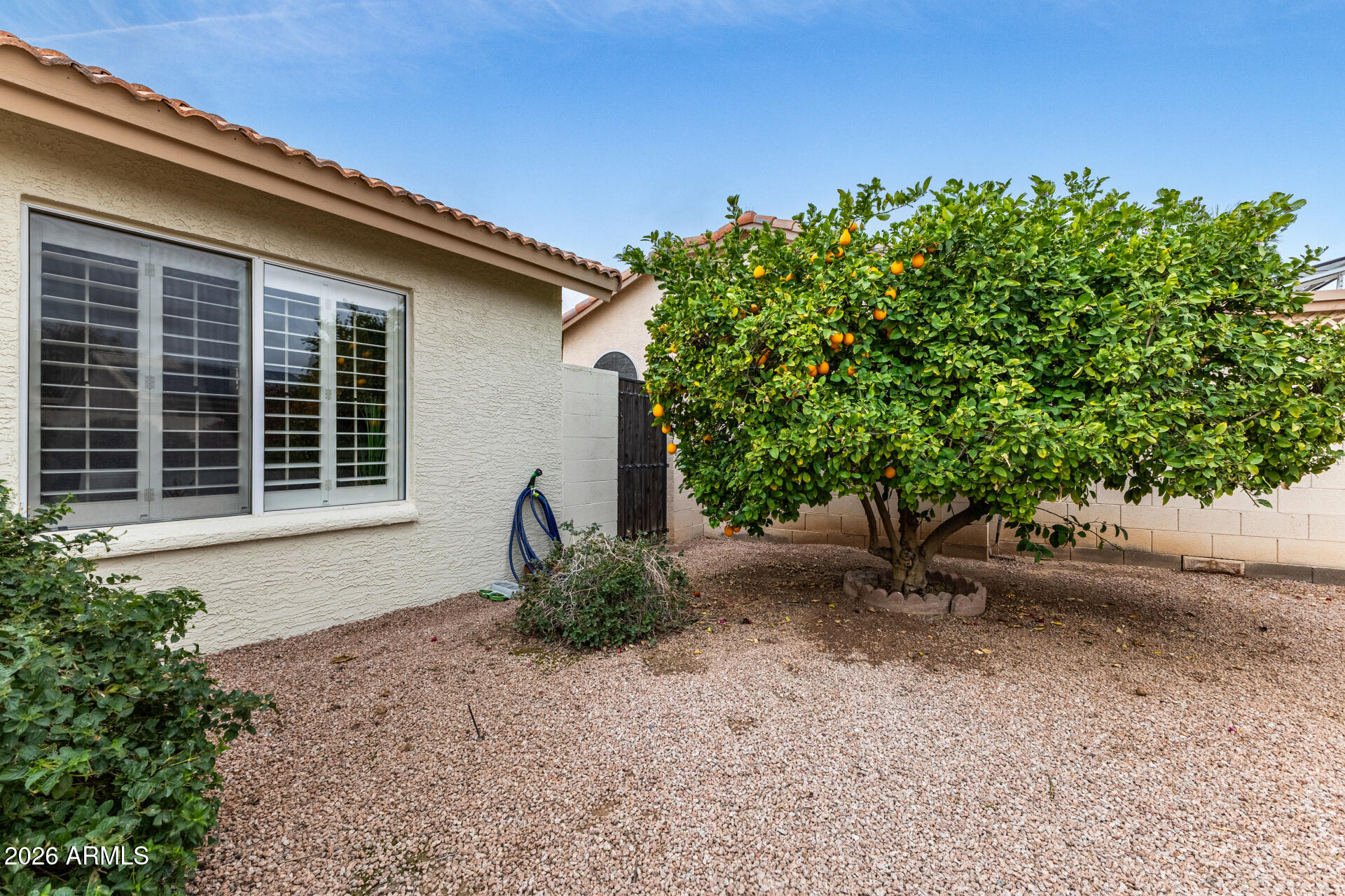 15764 Piccadilly Road Goodyear, AZ 85395 - Photo 31 of 31 a house with a tree in the background