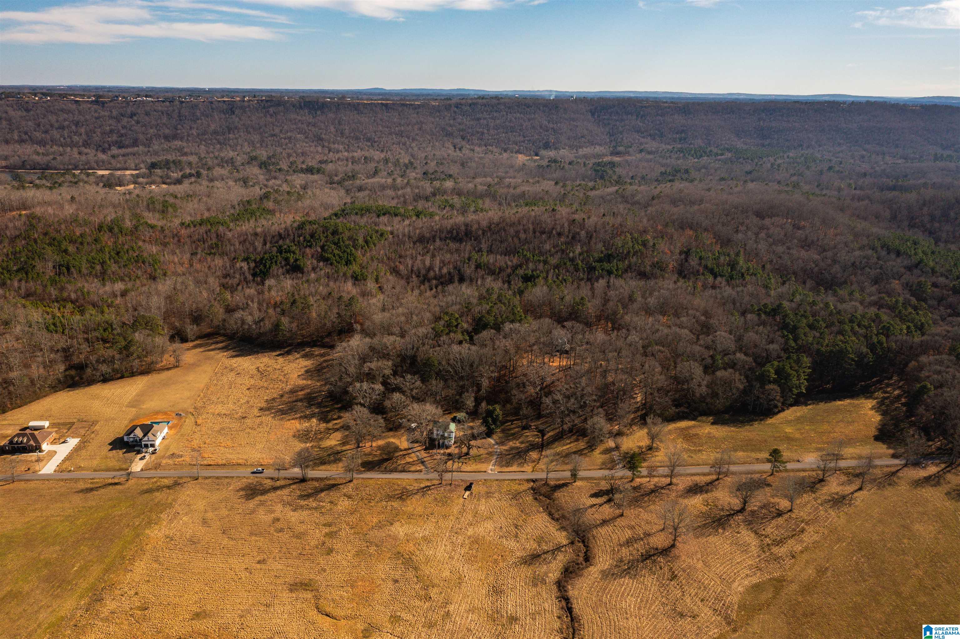 0 Browns Valley Road Guntersville, AL 35976 - Photo 18 of 39