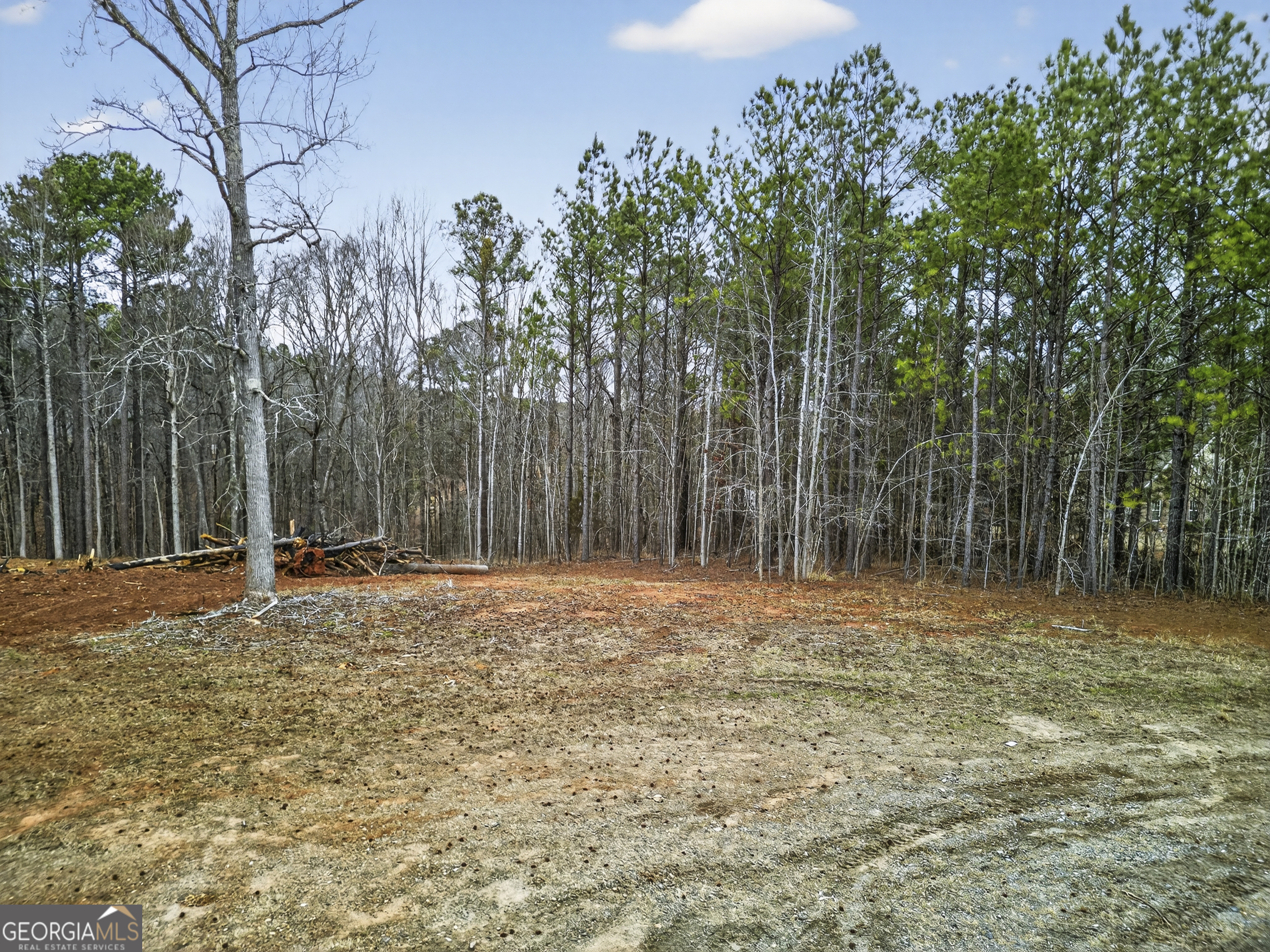4156 Upper River Road, Unit LOT 15 &16 Gray, GA 31032 - Photo 5 of 24