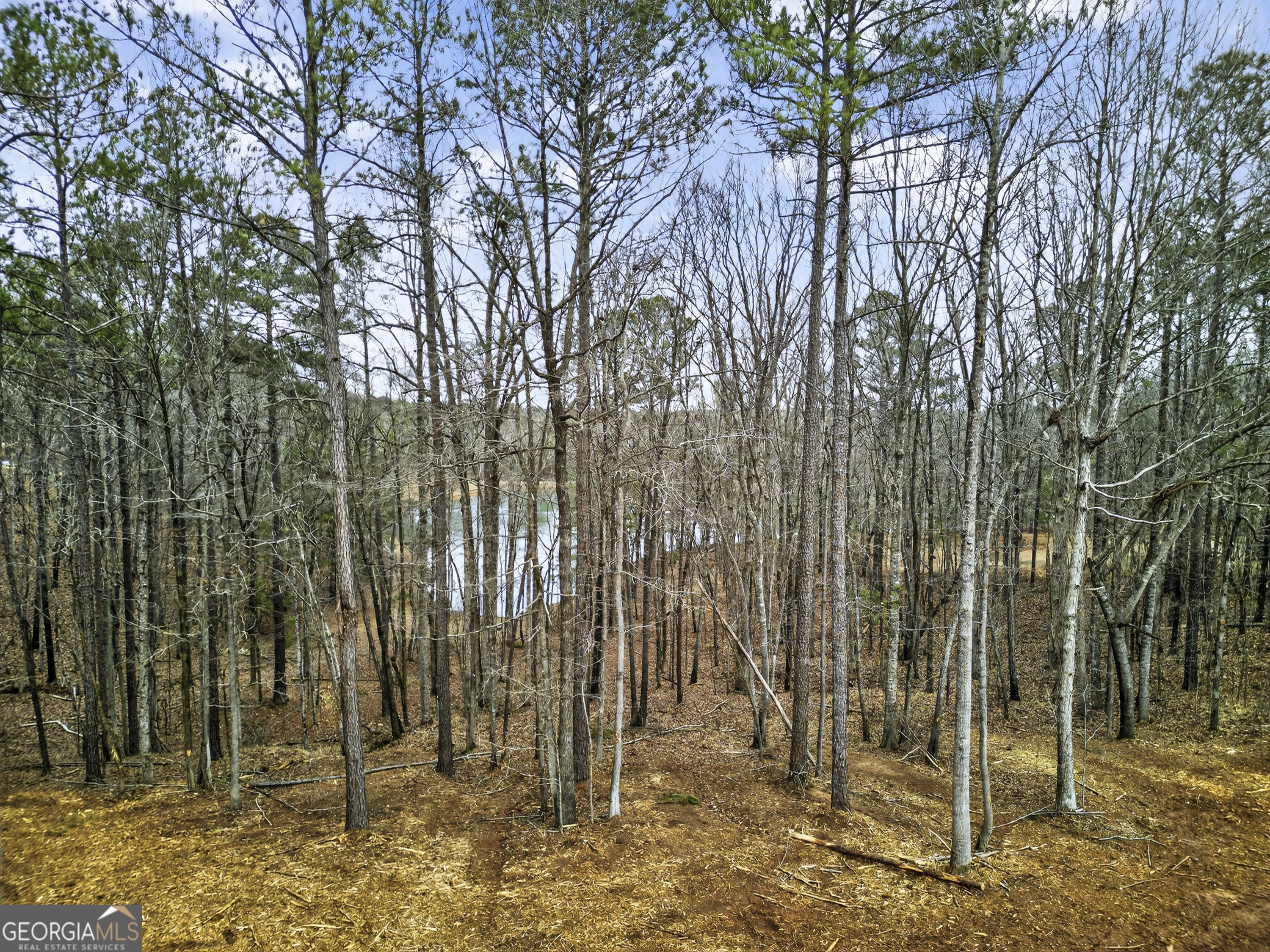 4156 Upper River Road, Unit LOT 15 &16 Gray, GA 31032 - Photo 10 of 24