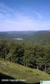 a view of a golf course with a lake