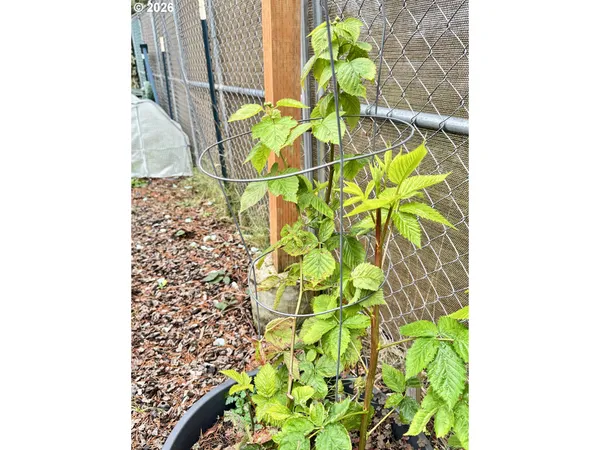 $123,000 | 3760 Highway 101, Unit 1, Florence, OR 97439