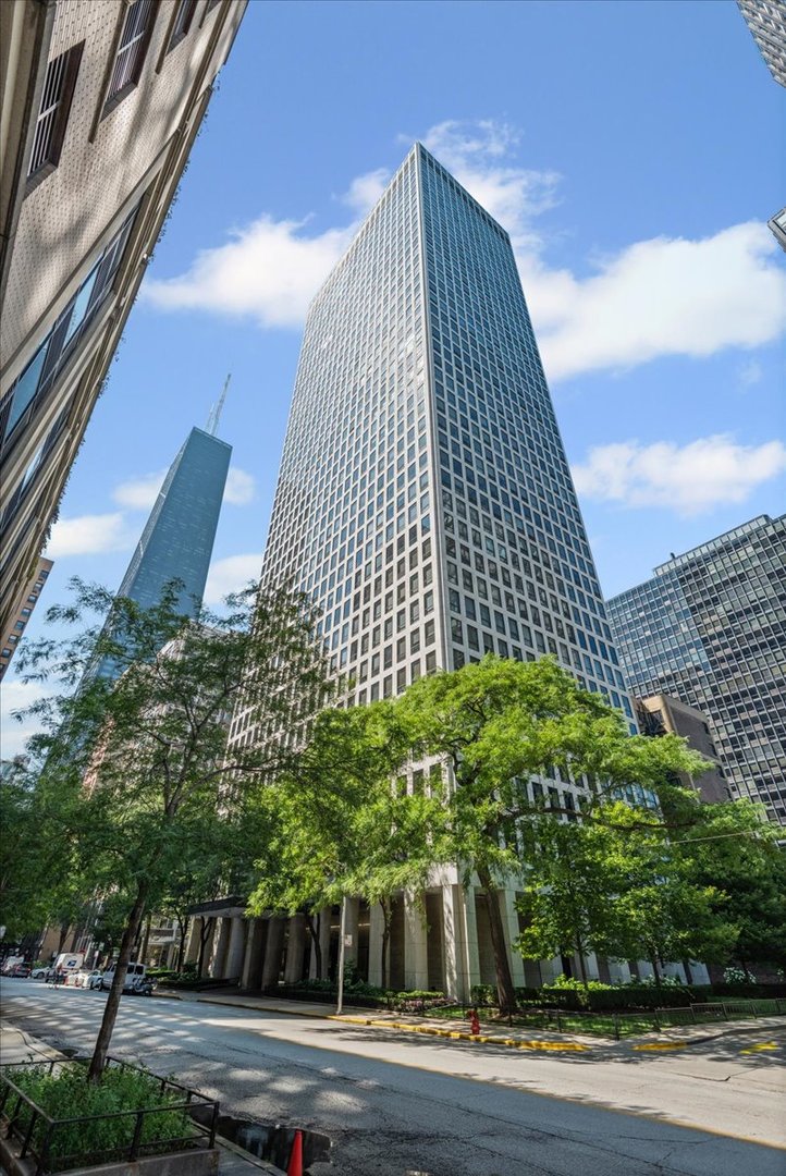 260 East Chestnut Street, Unit 611 Chicago, IL 60611 - Photo 1 of 20 a front view of a building