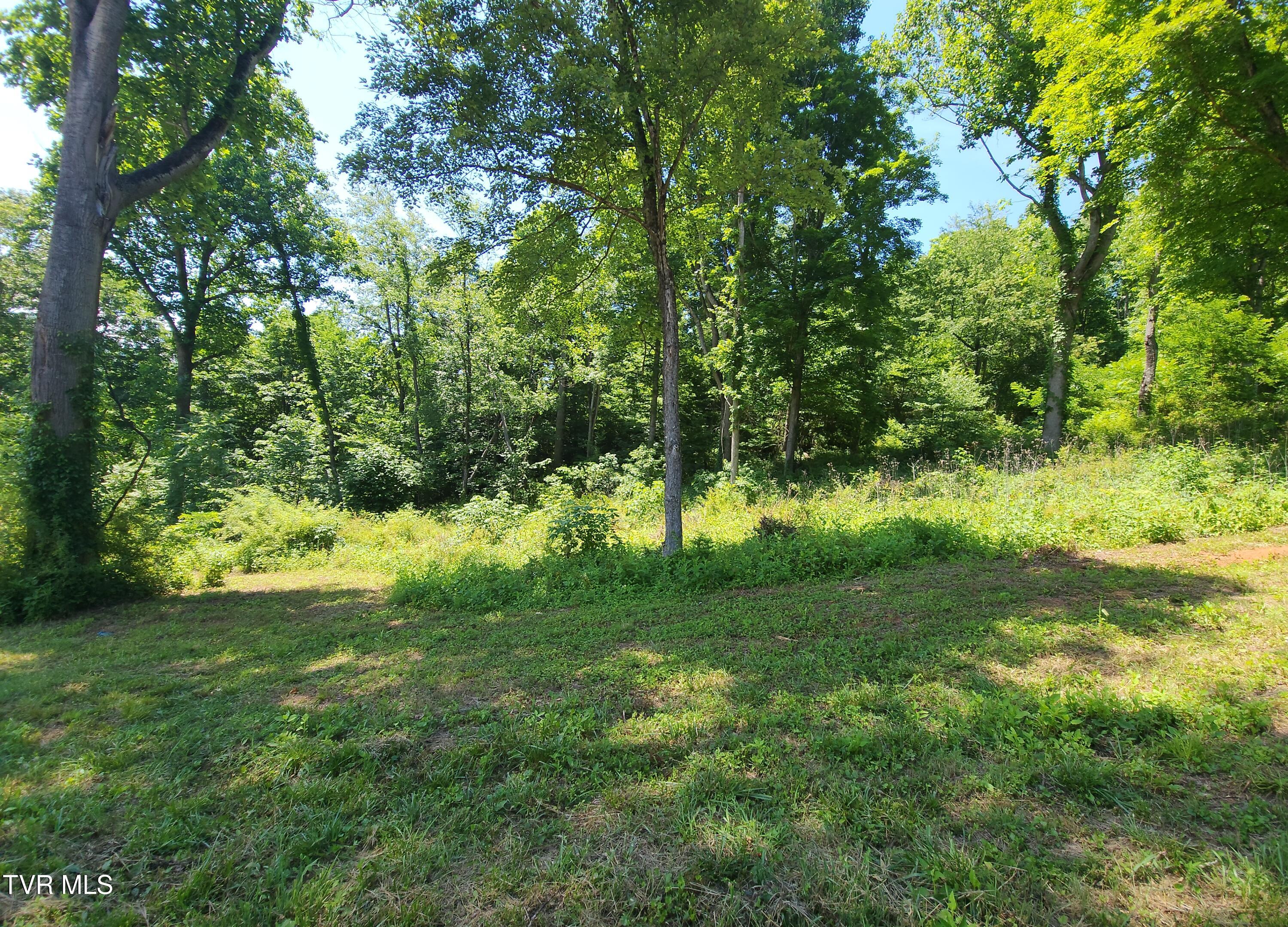Lot 40 Cowan Town Road, Unit 40 Butler, TN 37640 - Photo 21 of 117 20260606_150615