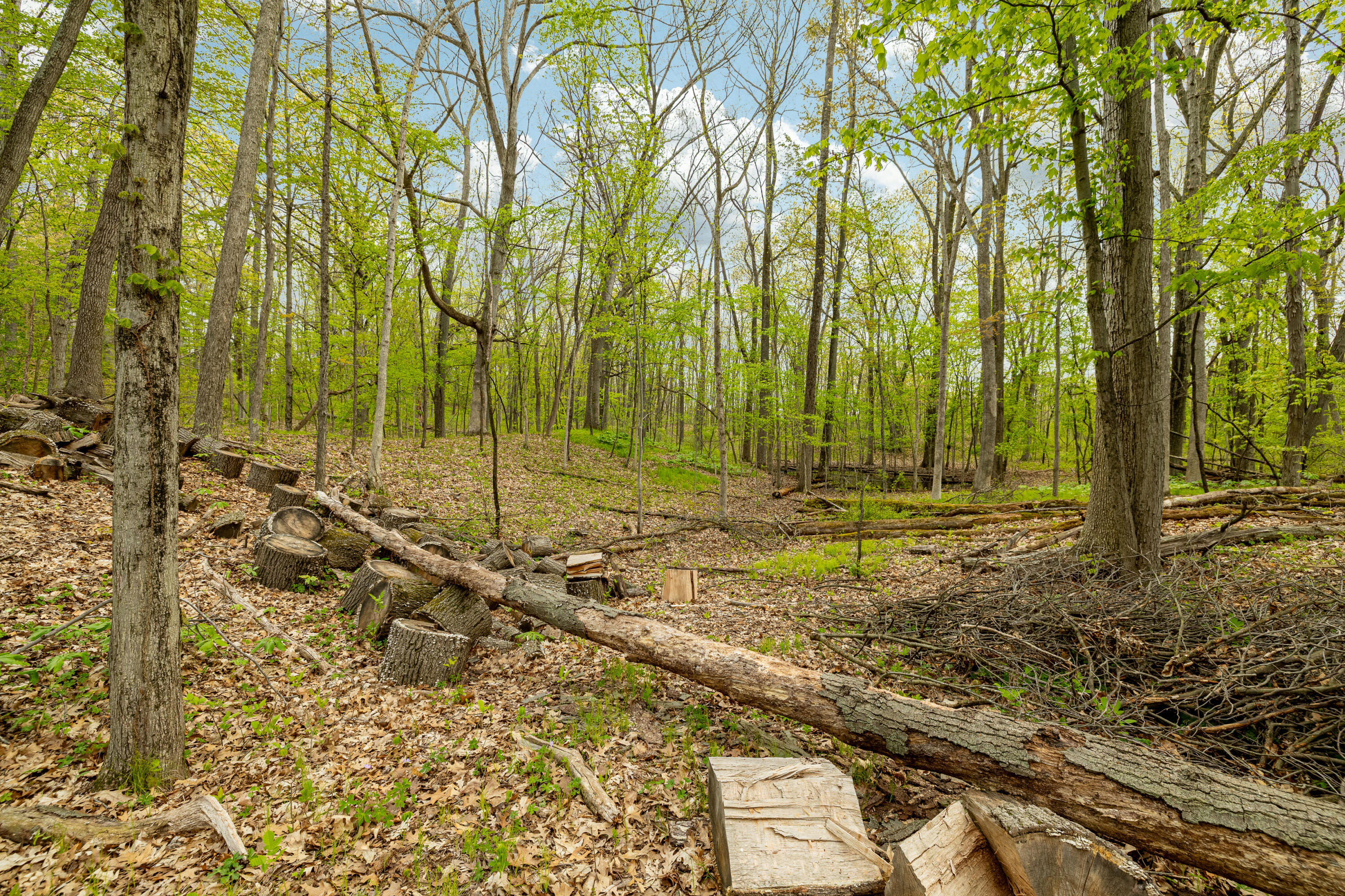 8470 Merrill Road Whitmore Lake, MI 48189 - Photo 52 of 57 8470 Merrill Rd (24 of 57)