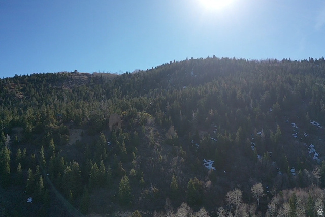 Undisclosed Address Summit, UT 84772 - Photo 11 of 19 View of mountain backdrop with a heavily wooded area