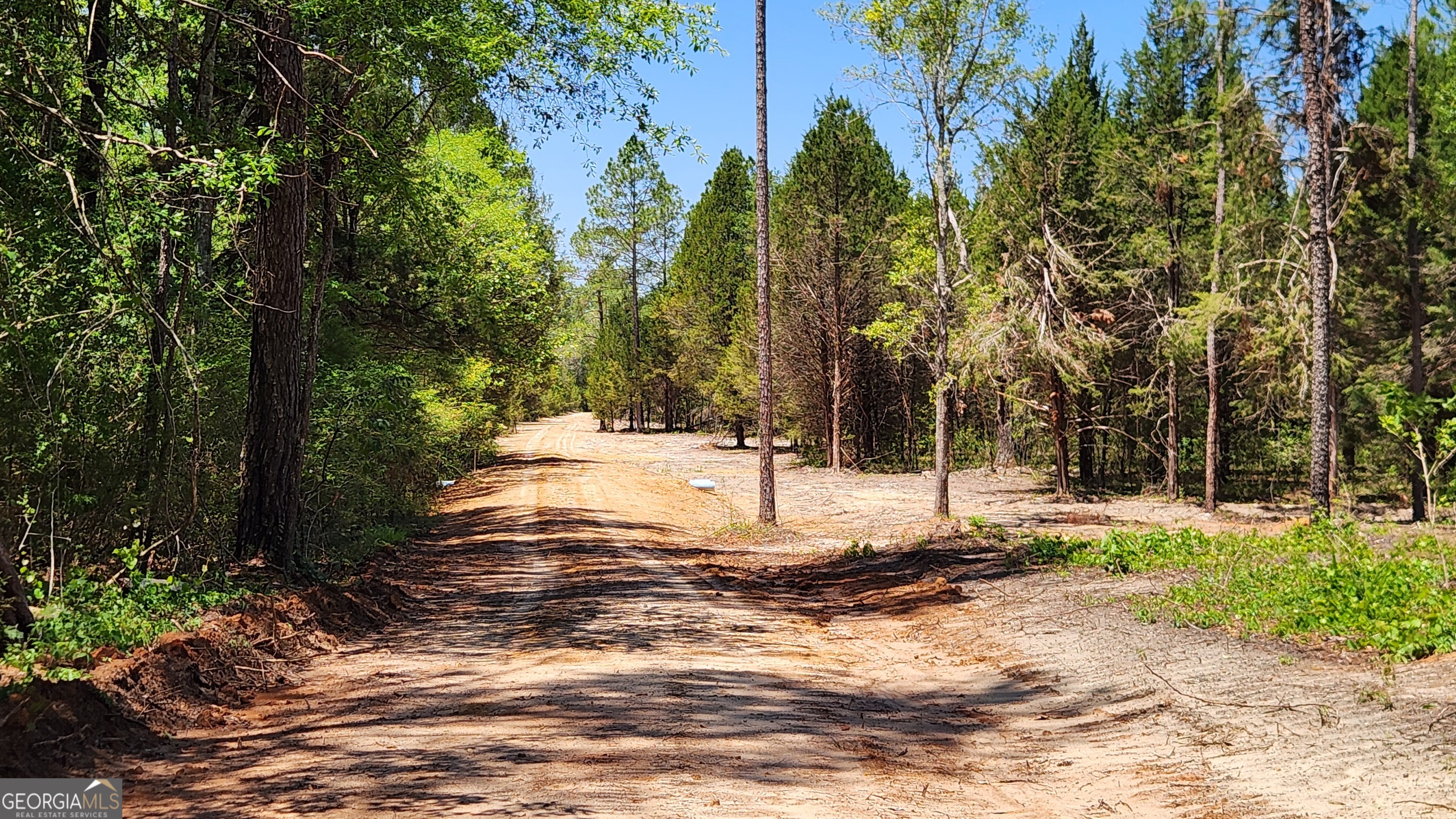 0 Robinson Road Baconton, GA 31716 - Photo 12 of 47 a view of a yard with trees