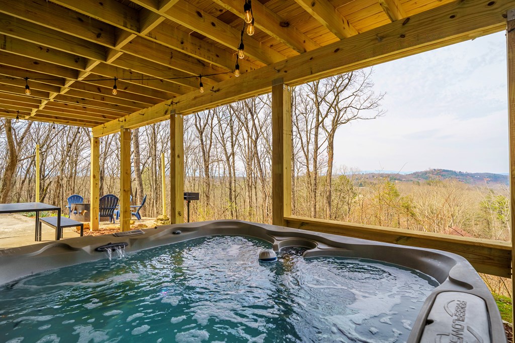 199 Highland Circle Blue Ridge, GA 30513 - Photo 46 of 53 Gallery Image 46