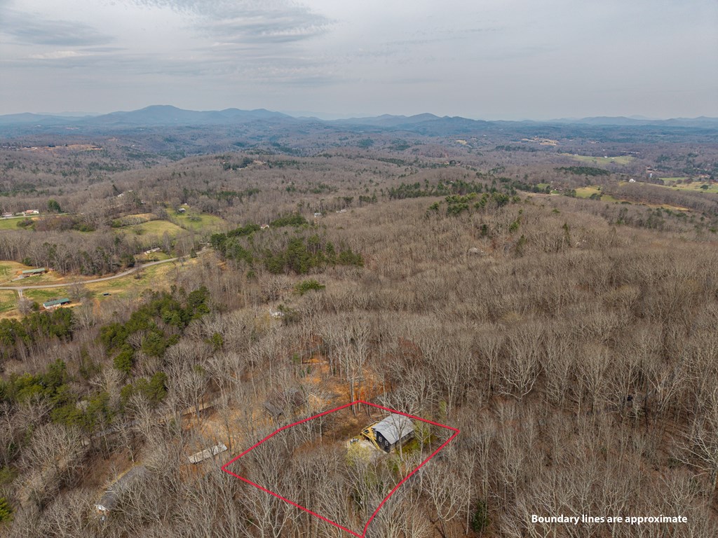 199 Highland Circle Blue Ridge, GA 30513 - Photo 50 of 53 Gallery Image 50