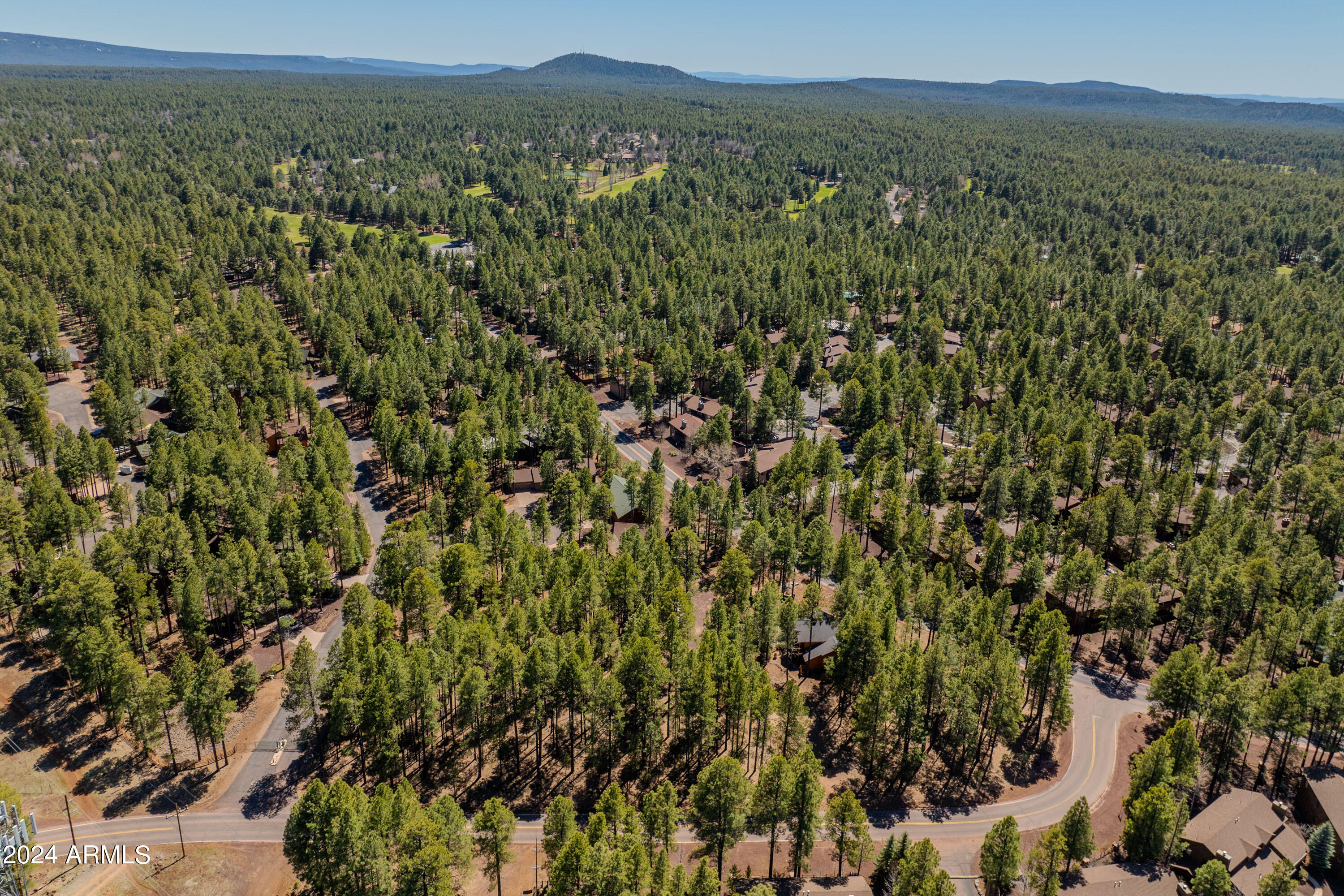 4571 Sky Hi Road Pinetop, AZ 85935 - Photo 11 of 23 4571 Sky Hi-11