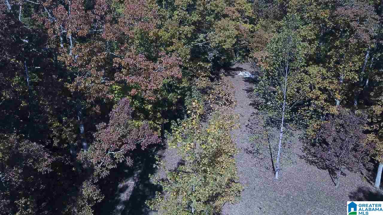 225 Oak Valley Road Springville, AL 35146 - Photo 5 of 8
