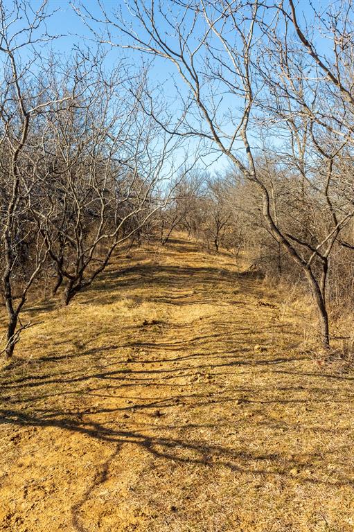 202 Tillery Road Perrin, TX 76486 - Photo 15 of 35