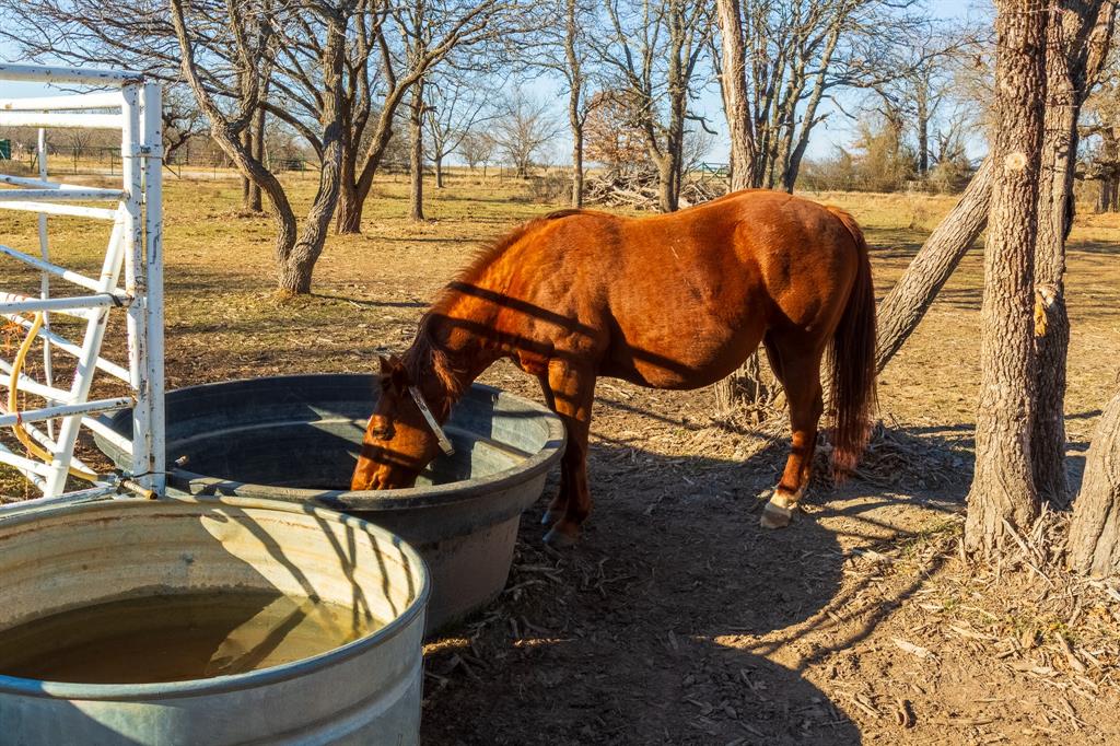 202 Tillery Road Perrin, TX 76486 - Photo 21 of 35