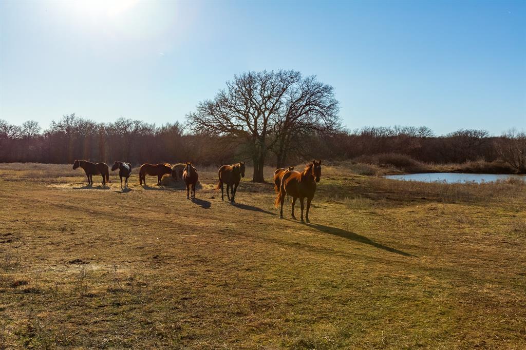 202 Tillery Road Perrin, TX 76486 - Photo 26 of 35