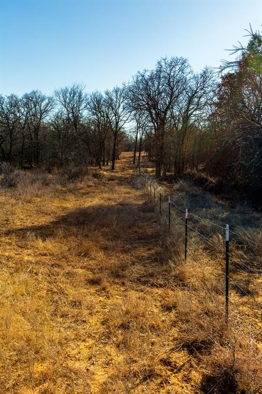 202 Tillery Road Perrin, TX 76486 - Photo 7 of 35