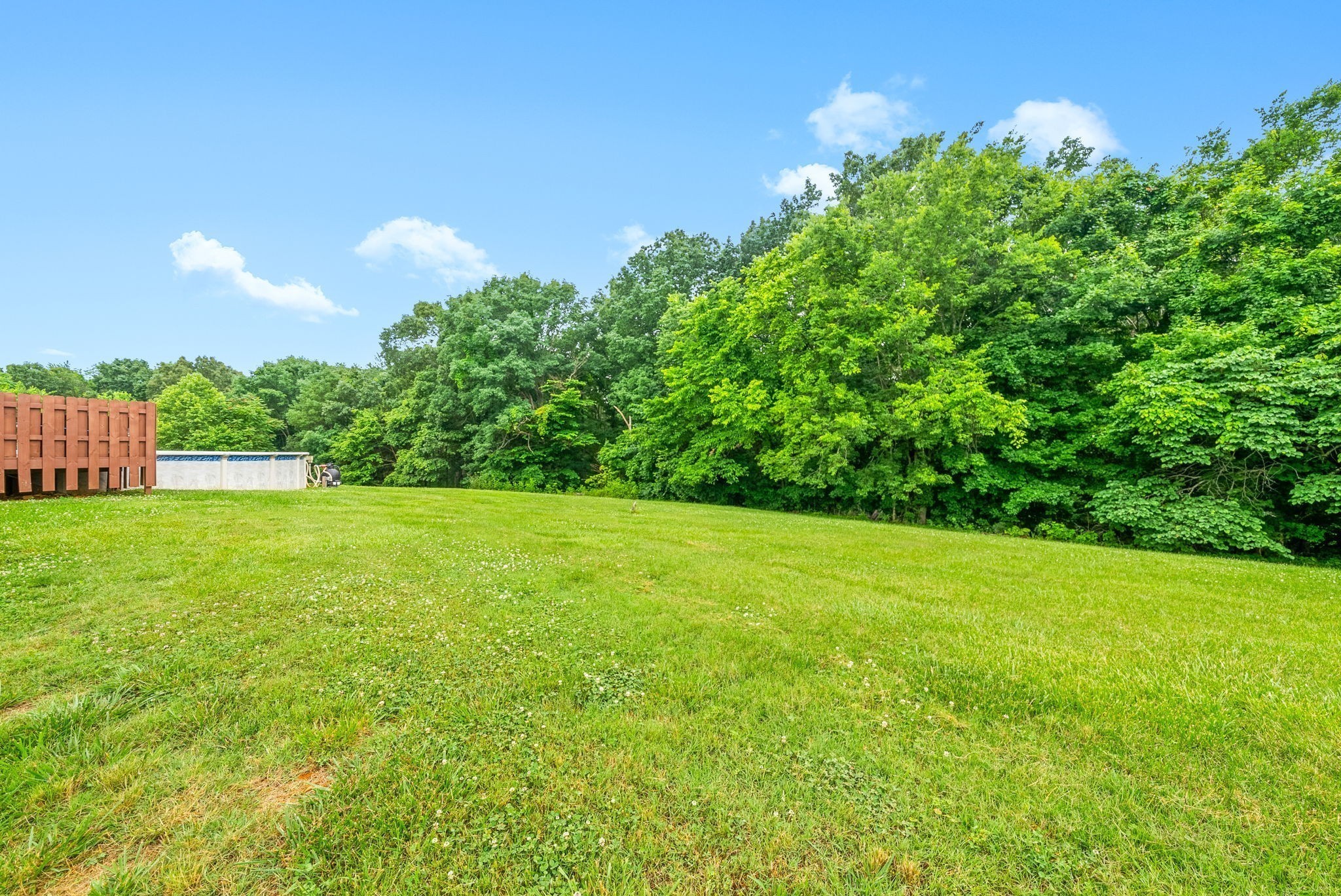 2430 Underwood Road Cunningham, TN 37052 - Photo 36 of 49 a view of yard with green space