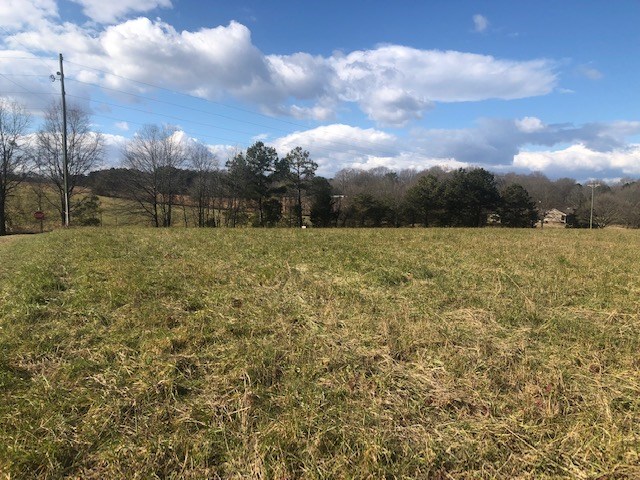 Lot 4 Cook Road Chesnee, SC 29323 - Photo 2 of 3 Gallery Image 2
