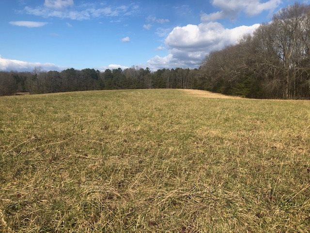 Lot 4 Cook Road Chesnee, SC 29323 - Photo 3 of 3 Gallery Image 3