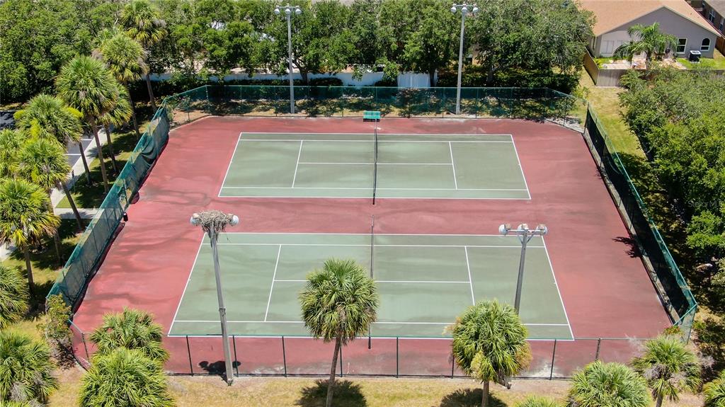 8535 Heyward Road Tampa, FL 33635 - Photo 44 of 44 Gallery Image 44