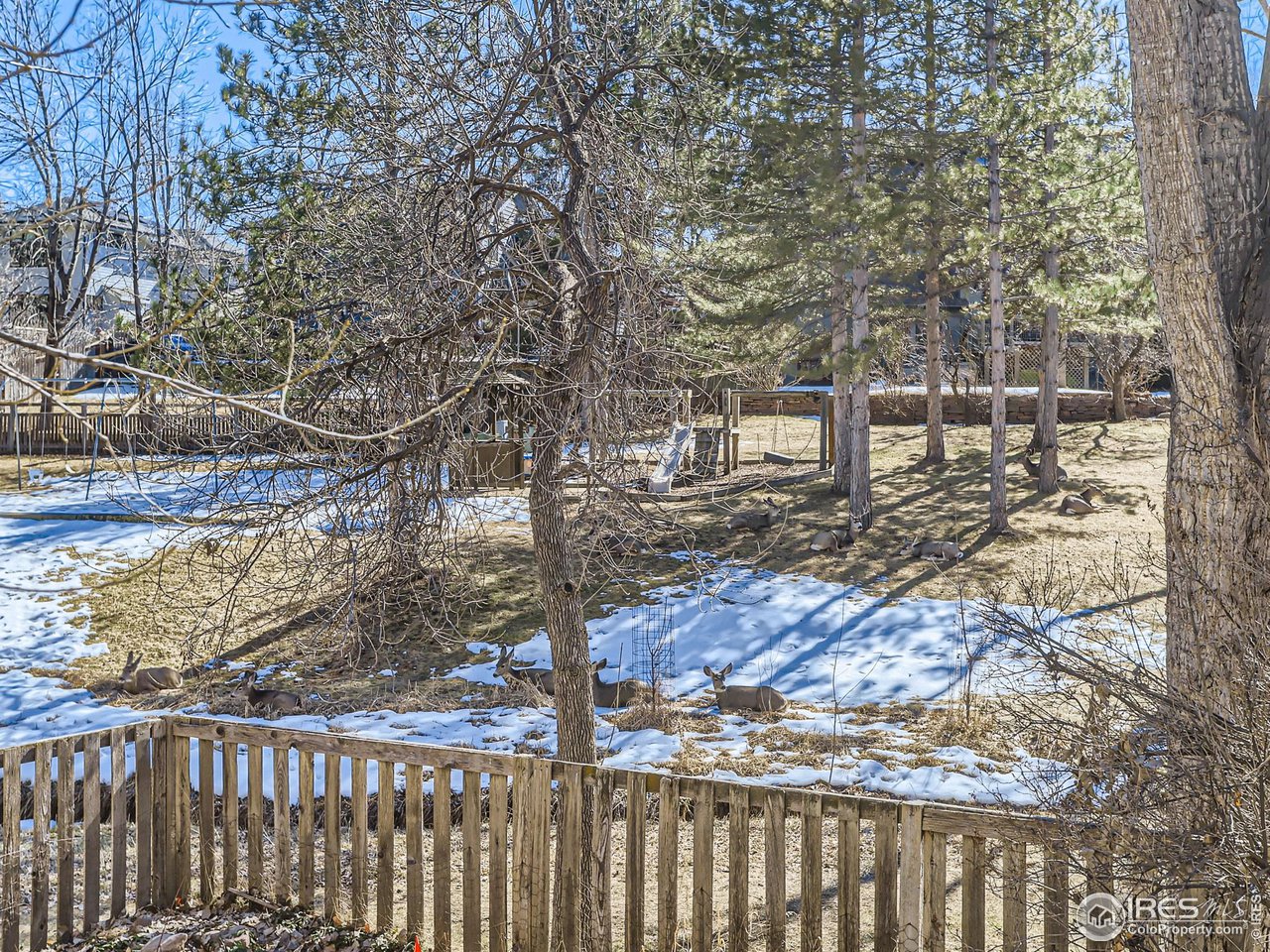 1350 Riverside Avenue Boulder, CO 80304 - Photo 27 of 27 Gallery Image 27