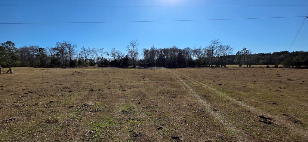 12.7-acres Nobles Road Dothan, AL 36301 - Photo 3 of 41