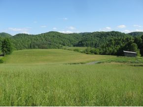 3 Barnrock Road Mendota, VA 24270 - Photo 3 of 21 As seen from across the road