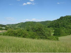 3 Barnrock Road Mendota, VA 24270 - Photo 7 of 21 Looking East upriver