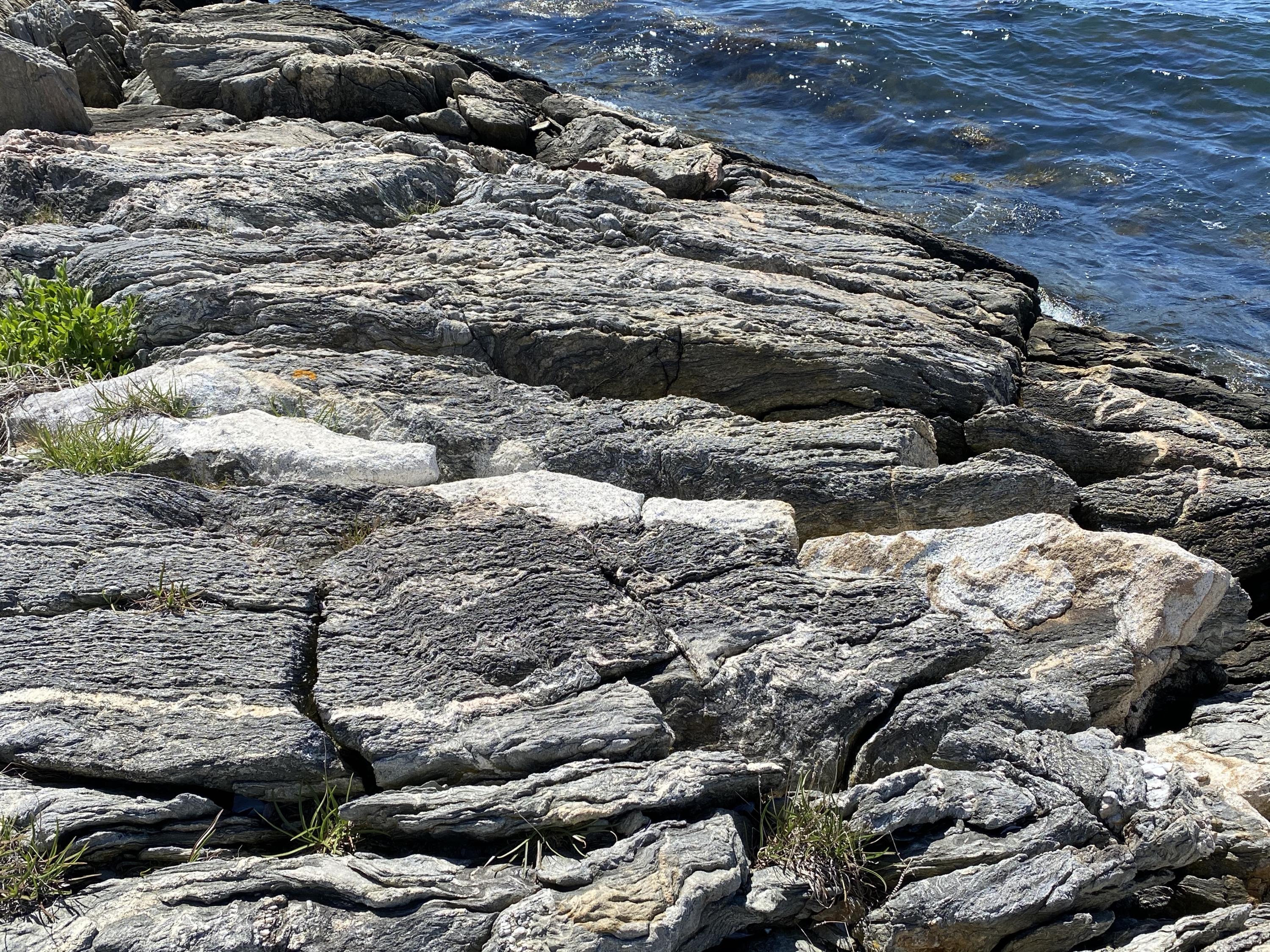13 Crazy Point Road Tenants Harbor, ME 04860 - Photo 15 of 47 15